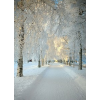 winter - Natureza - 