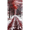 winter - Background - 