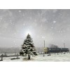 winter - My photos - 
