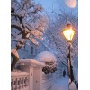 Winter - Meine Fotos - 