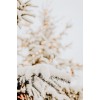 winter - Natur - 