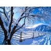 Winter - Background - 
