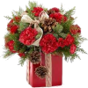 winter arrangements - Plantas - 