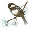 winter bird - 饰品 - 