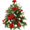winter/christmas arrangements - Rośliny - 