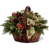 winter/christmas arrangements - Rośliny - 