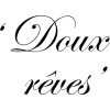 rêves dreams lettering text french - Uncategorized - 