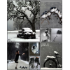 winter moodboard - Moje fotografije - 