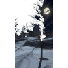 winter night landscape moon photo - Uncategorized - 