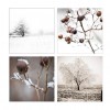 winter photos - Mie foto - 