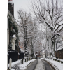 winter road city snow - Uncategorized - 