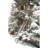 winter snow trees photo - Uncategorized - 