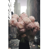 woman flowers peonies city - Uncategorized - 