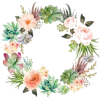 wreath - Okvirji - 