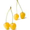 yellow cherries - Rośliny - 