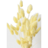 yellow - Biljke - 