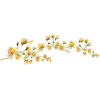 yellow flowers - Uncategorized - 
