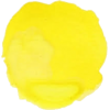 yellow spot - Uncategorized - 