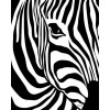 zebra - ベルト - 