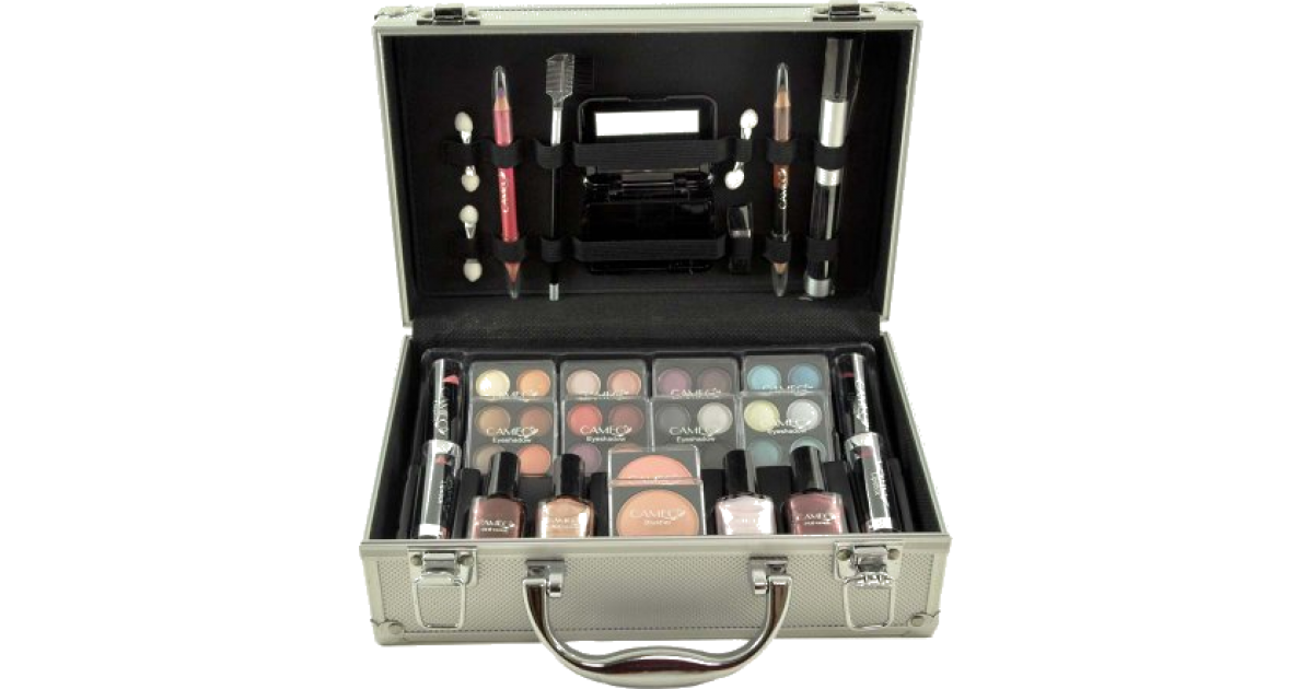 Exile набор косметический для ухода. Косметика Shany carry all Makeup. Косметический набор Бьюти кейс Cosmetic 2k. Косметика Shany carry all Makeup Train Case with PR. Shany Beauty Box 25 предметов+ кейс.