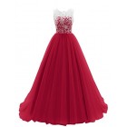 DRESSTELLS Long Prom Dress Tulle Evening Dance Bridesmadi Gown with Lace