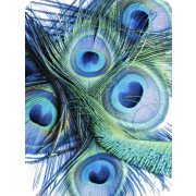 Art Peacock - Predmeti - 