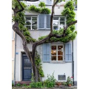 Basel Switzerland - 建筑物 - 