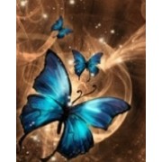 Butterfly - My photos - 