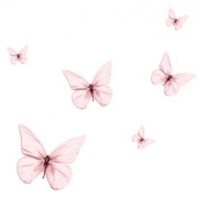 Butterfly pink - Fundos - 