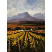 Cape Wine Farm in Autumn| Mauro Chiarla - Illustrations - 