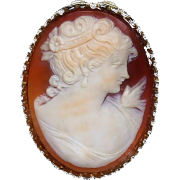 Carved Shell Cameo Brooch - Other jewelry - $249.00  ~ 213.86€