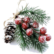 Christmas Holly - Rascunhos - 