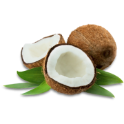 Coconut - Comida - 