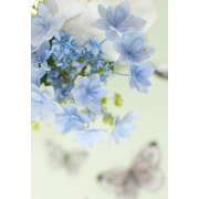 Cvijece - Background - 