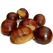 Chestnut - Rośliny - 