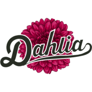 Dahlia - 植物 - 
