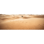 Desert - Natur - 