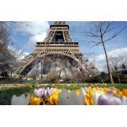 Eiffel - My photos - 