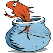 Fish Bowl - 插图 - 