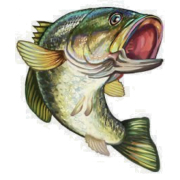 Fish - 插图 - 