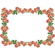 Floral - Frames - 