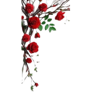 Flower - Piante - 