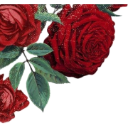 Flower - Piante - 