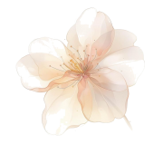 Flower - Piante - 