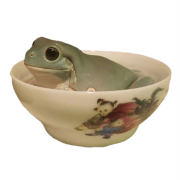 Frog in a cup - Animals - 