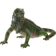 Iguana - 動物 - 