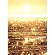 Golden sunset - My photos - 