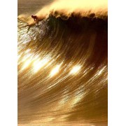 Golden waves - Moje fotografije - 