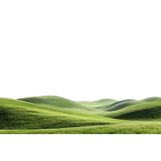 Grass - Pozadine - 