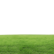 Grass - Pozadine - 